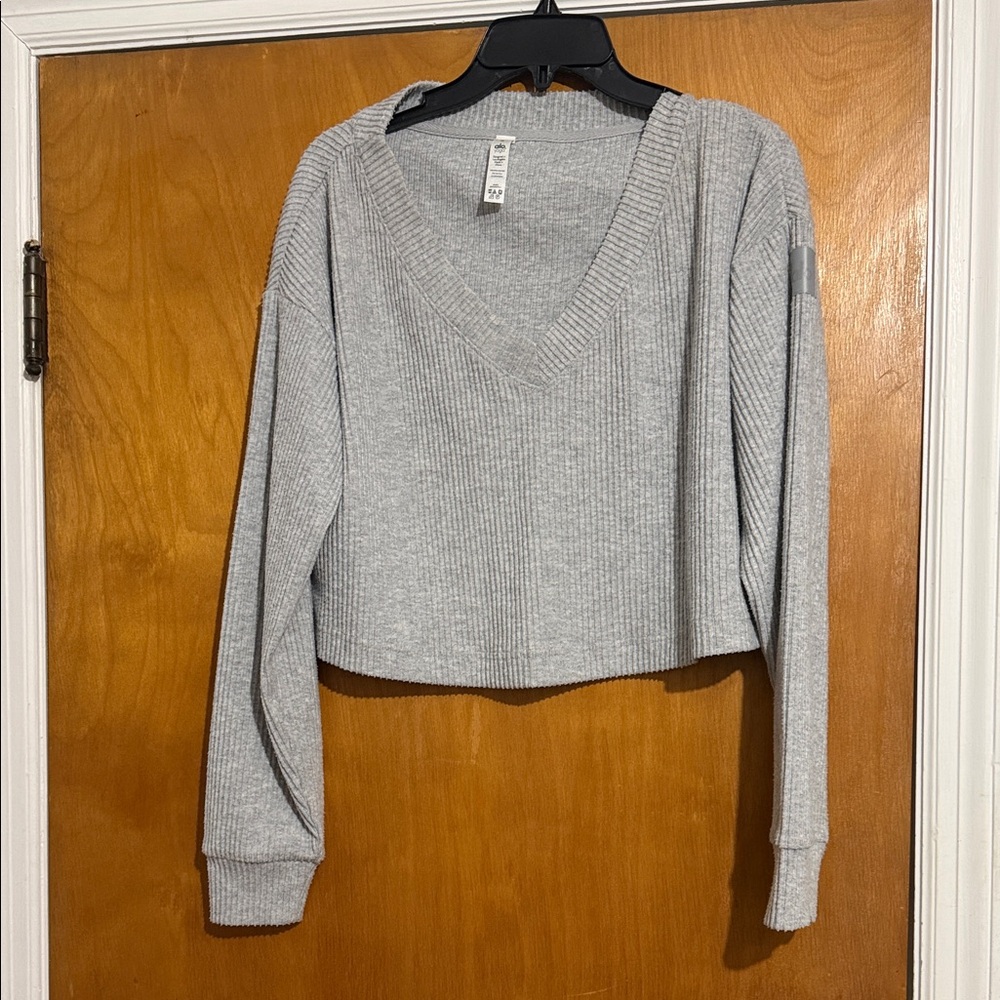 ALO Muze Crop Top
